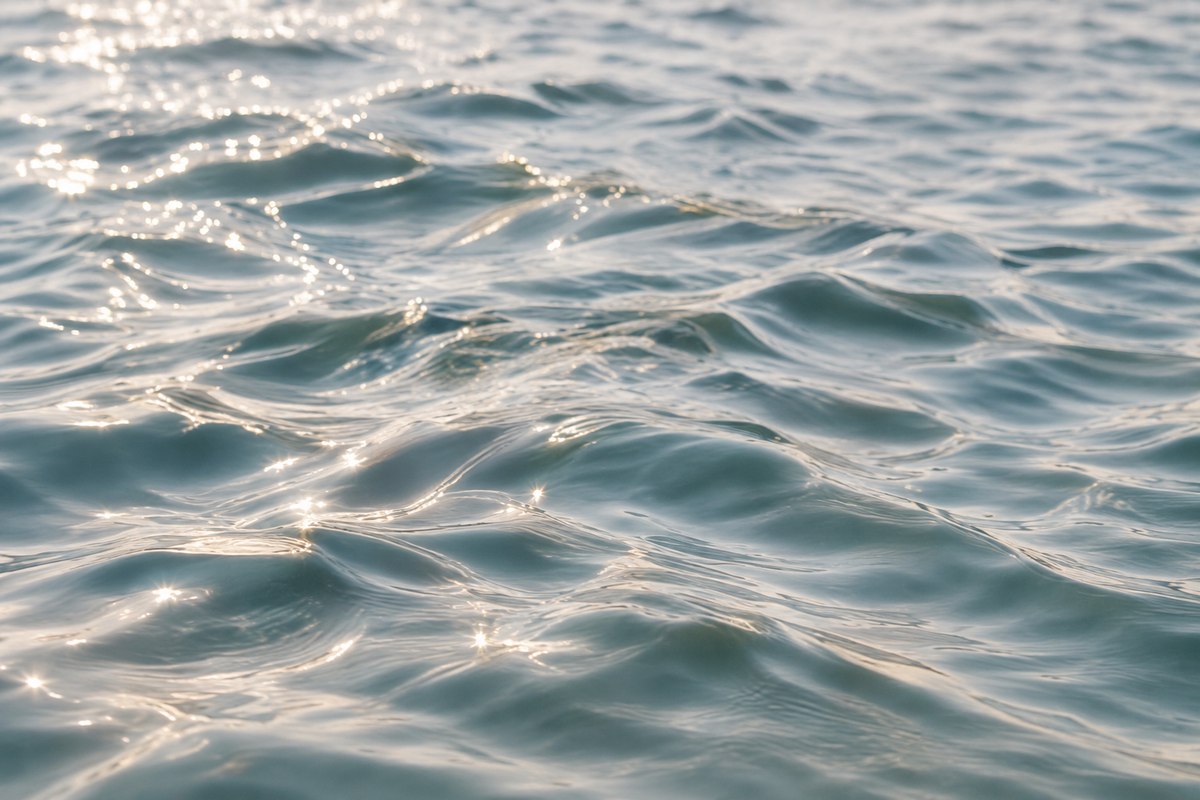 Sunlight sparkling on calm ocean water